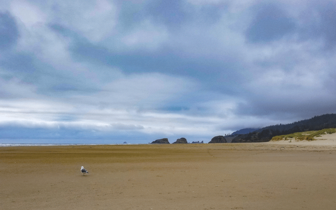 sea background